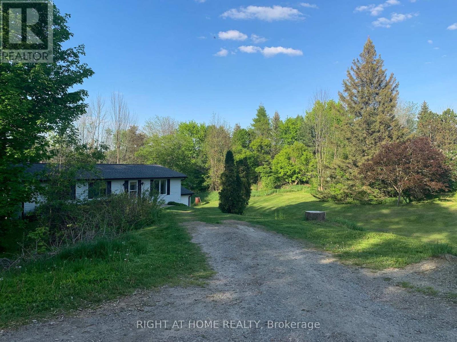 2421 10 Side Road N, New Tecumseth, Ontario  L0G 1W0 - Photo 7 - N12542576