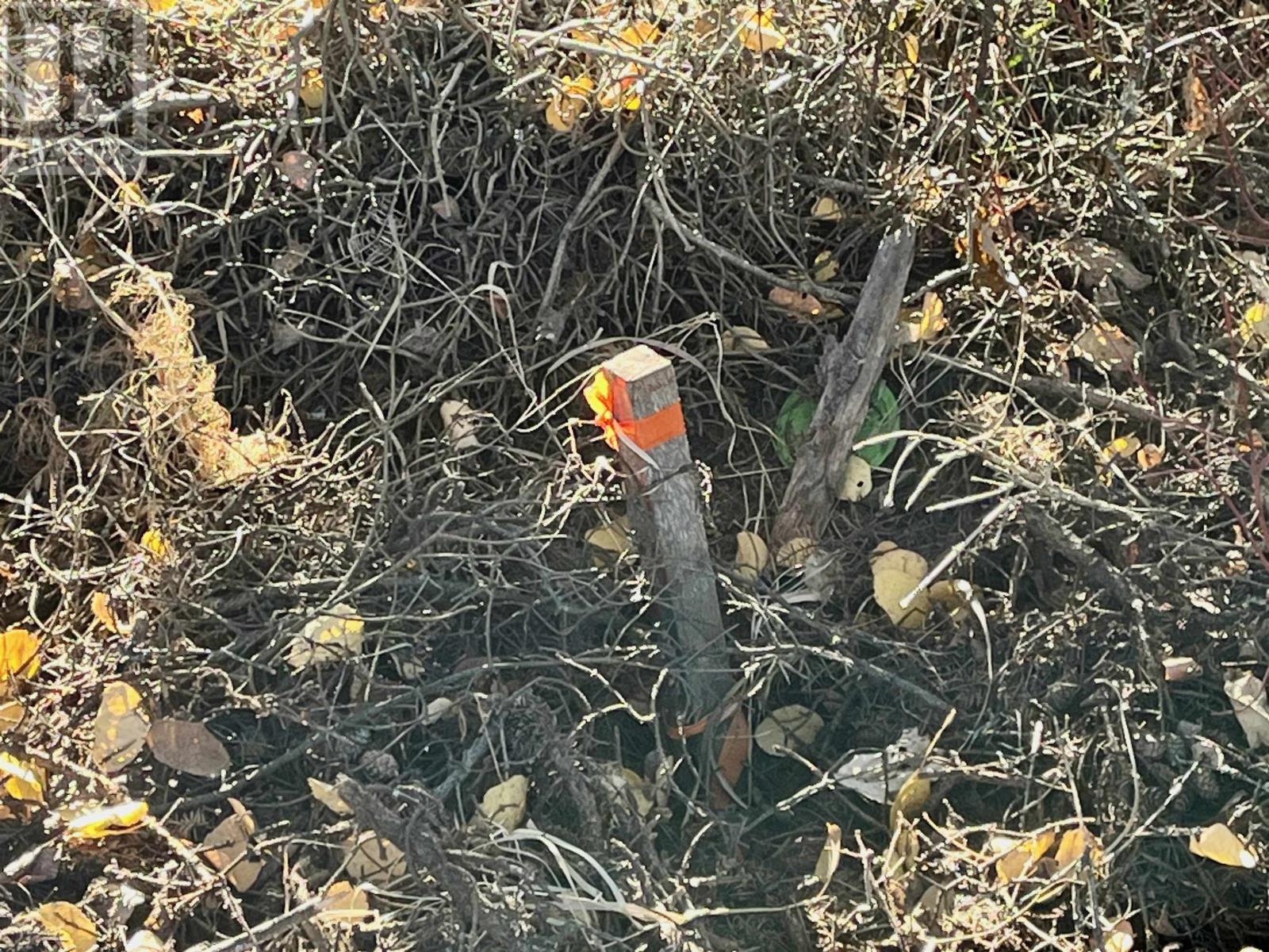 343 Hwy 665, Richan Road, Dryden, Ontario  P8N 3G2 - Photo 34 - TB253421