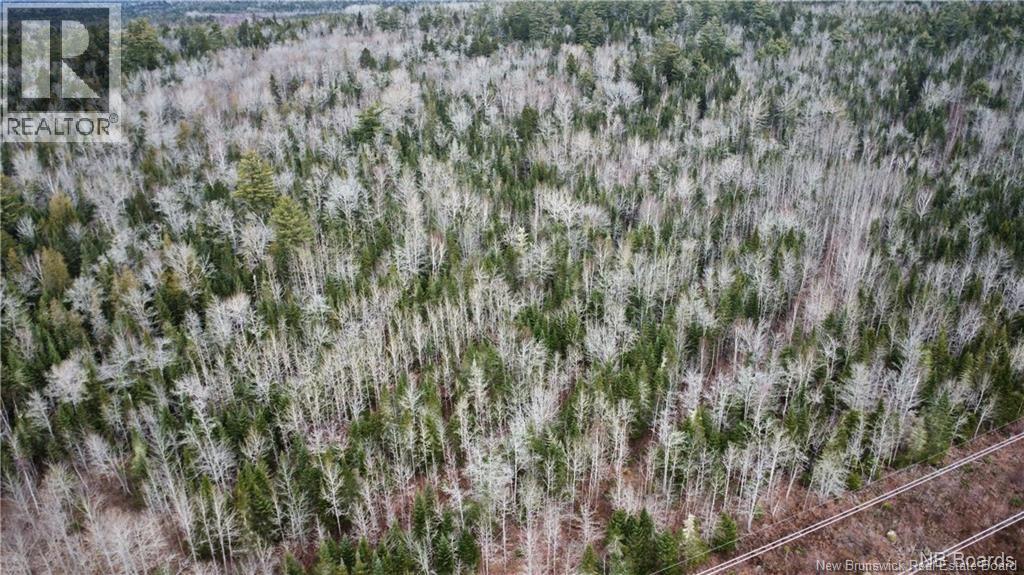 Lot Route 735, Mayfield, New Brunswick  E3L 5M9 - Photo 3 - NB130158