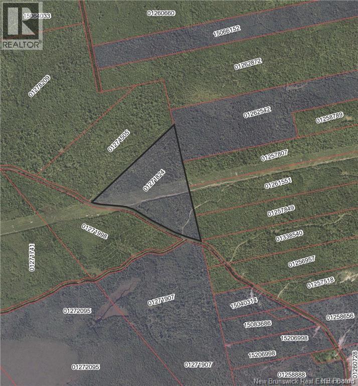 Lot Route 735, Mayfield, New Brunswick  E3L 5M9 - Photo 2 - NB130158