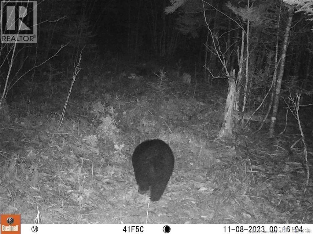 Lot Route 735, Mayfield, New Brunswick  E3L 5M9 - Photo 8 - NB130158