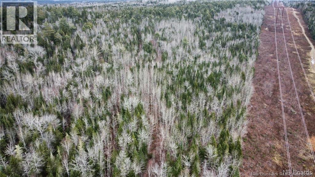 Lot Route 735, Mayfield, New Brunswick  E3L 5M9 - Photo 4 - NB130158