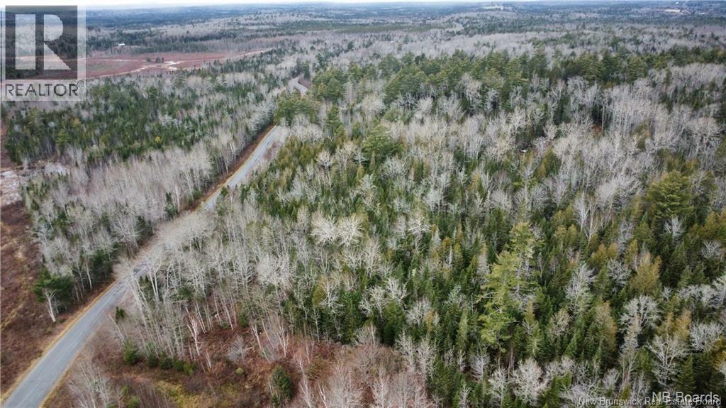 Lot Route 735, Mayfield, New Brunswick  E3L 5M9 - Photo 5 - NB130158