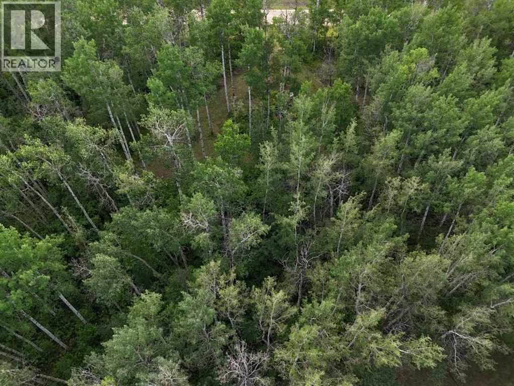 Nw 19-48- 2-W5, Warburg, Alberta  T0C 2T0 - Photo 12 - A2270049