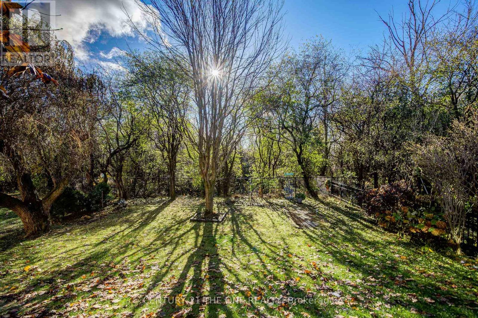 78 Ravine Edge Drive, Richmond Hill, Ontario  L4E 4J3 - Photo 50 - N12543356