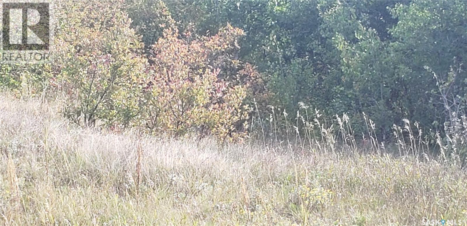 Lot 12 Whitetail Trail, Duck Lake Rm No. 463, Saskatchewan  S0K 1J0 - Photo 6 - SK023603