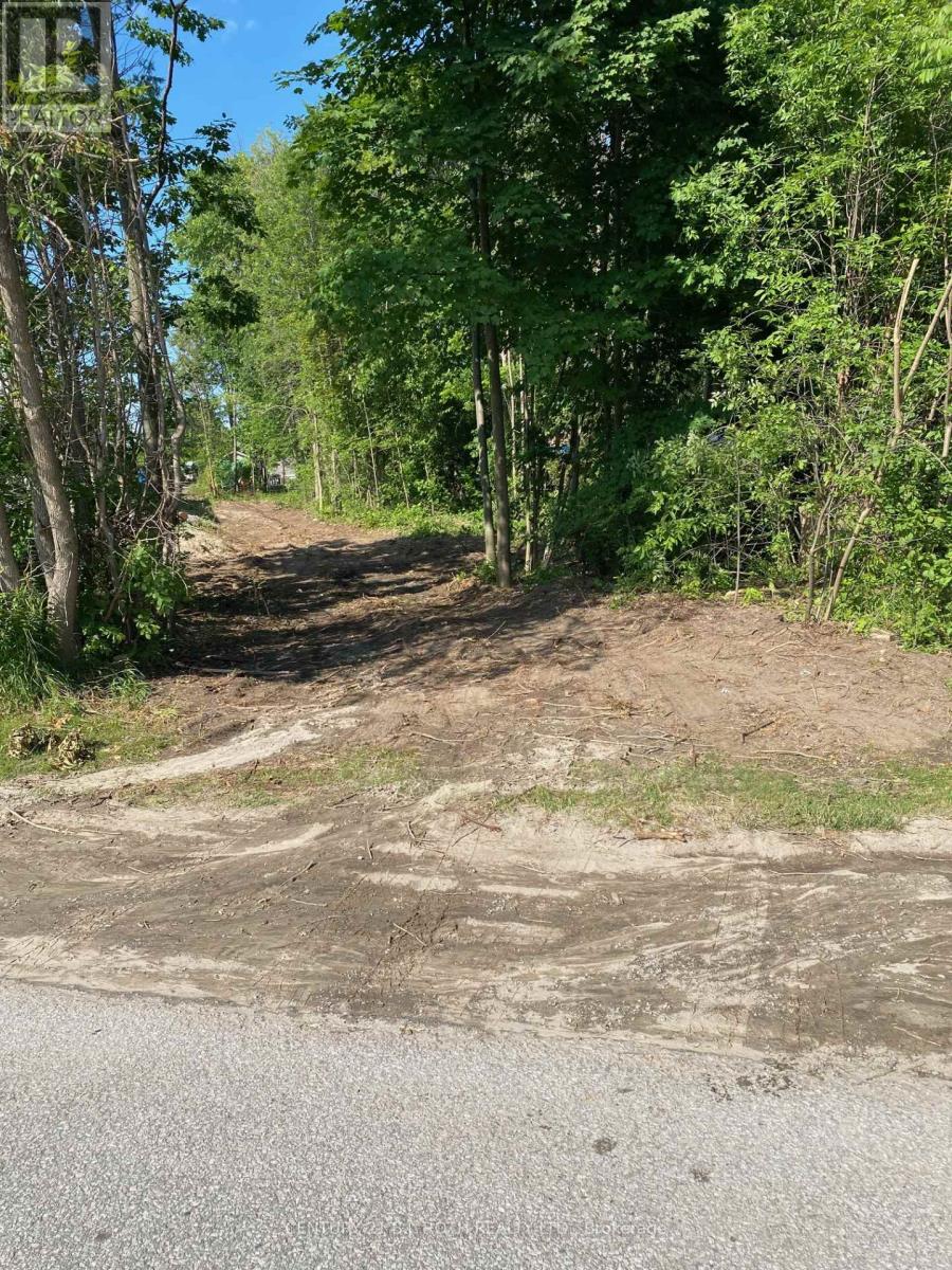 3365 Armand Avenue, Severn, Ontario  L0K 2B0 - Photo 3 - S12544768