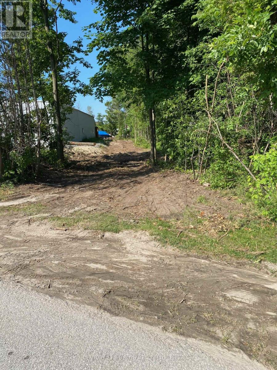 3365 Armand Avenue, Severn, Ontario  L0K 2B0 - Photo 4 - S12544768