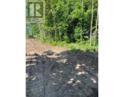 3365 ARMAND AVENUE, Severn, Ontario