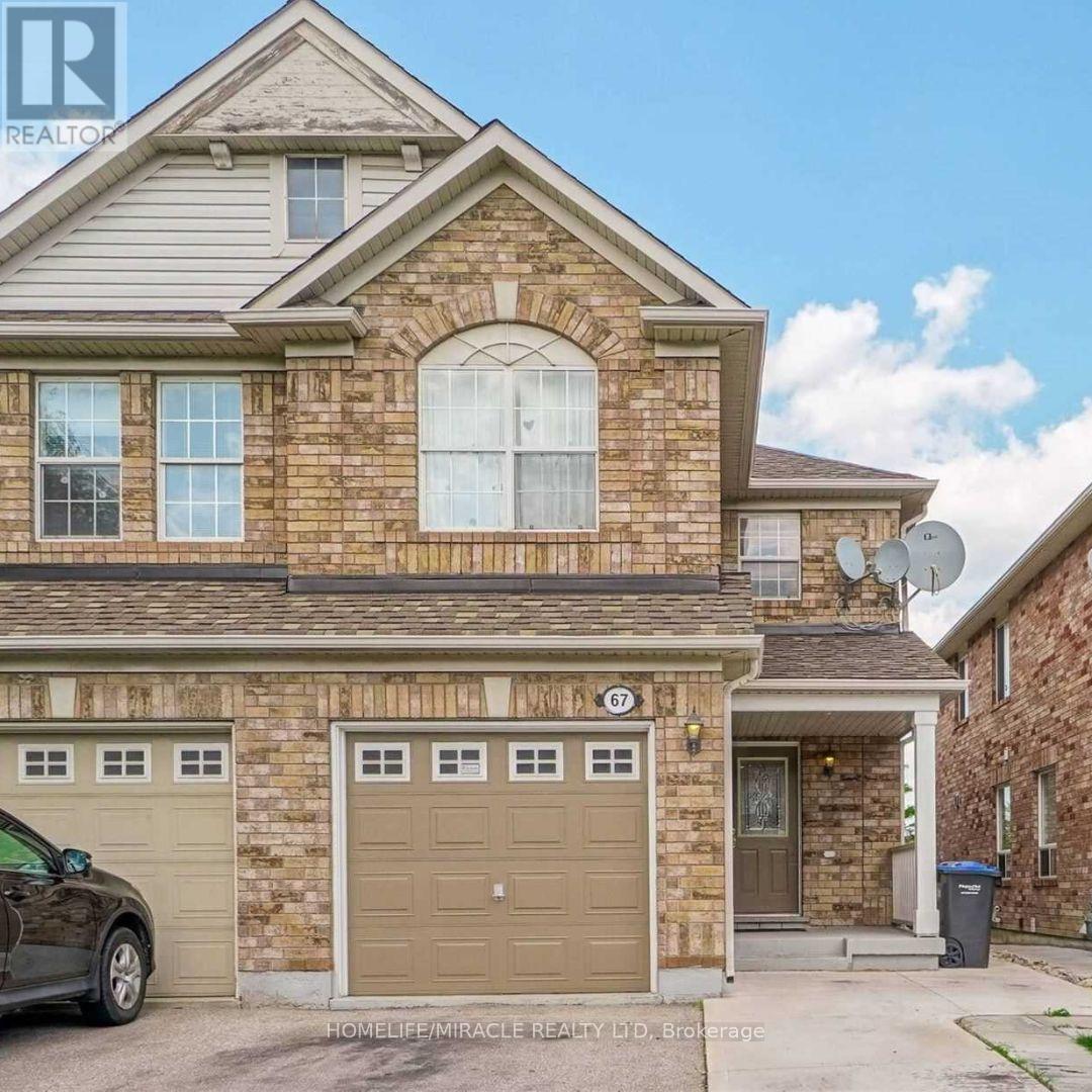 Lower - 67 Herdwick Street, Brampton, Ontario  L6S 6L6 - Photo 1 - W12544770