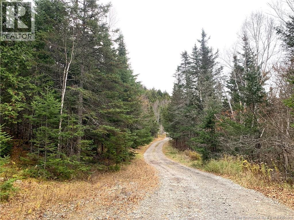 43 Spur No.1 Road, Bocabec, New Brunswick  E5B 3K1 - Photo 2 - NB129658