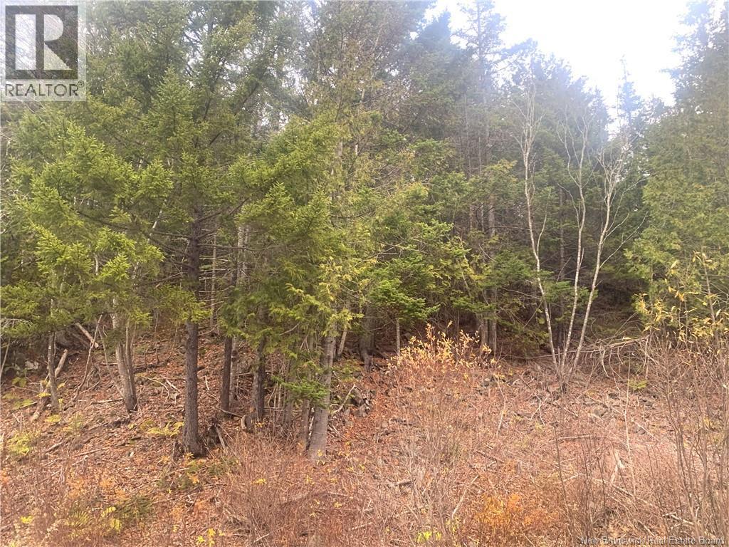 43 Spur No.1 Road, Bocabec, New Brunswick  E5B 3K1 - Photo 5 - NB129658