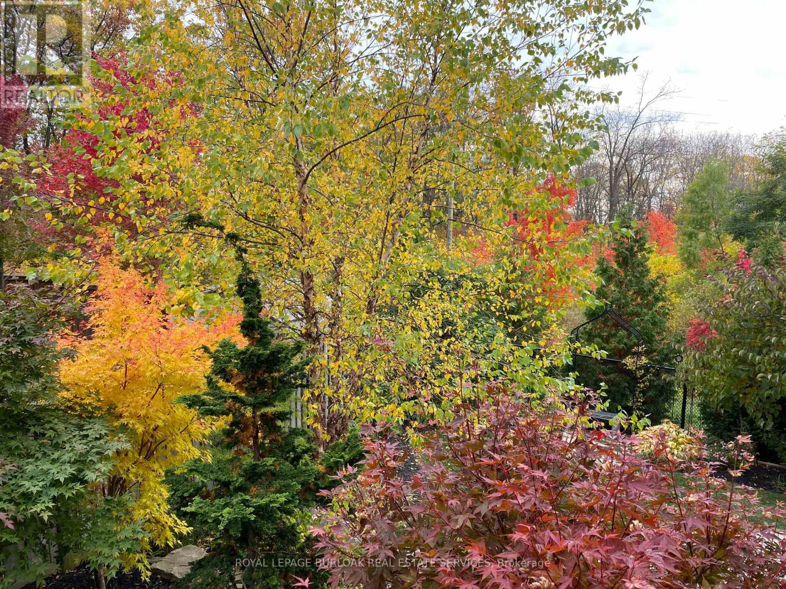 50 Attridge Crescent, Hamilton, Ontario  L8B 0T9 - Photo 44 - X12544884