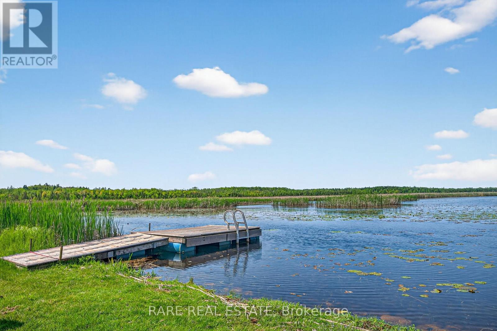 168 Charlore Park Drive, Kawartha Lakes, Ontario  K0L 2W0 - Photo 38 - X12545126