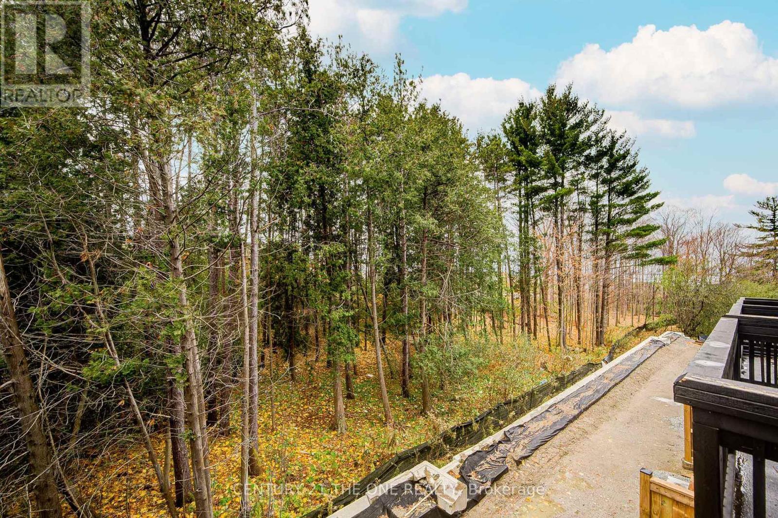 27 Chestnut Court, Aurora, Ontario  L4G 7C4 - Photo 42 - N12536876