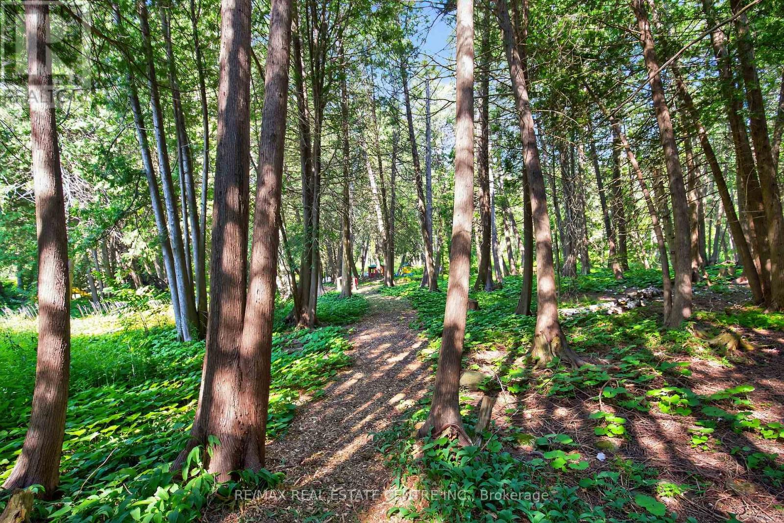 16 Cedar Lane, Mono, Ontario  L9W 6C8 - Photo 43 - X12545316