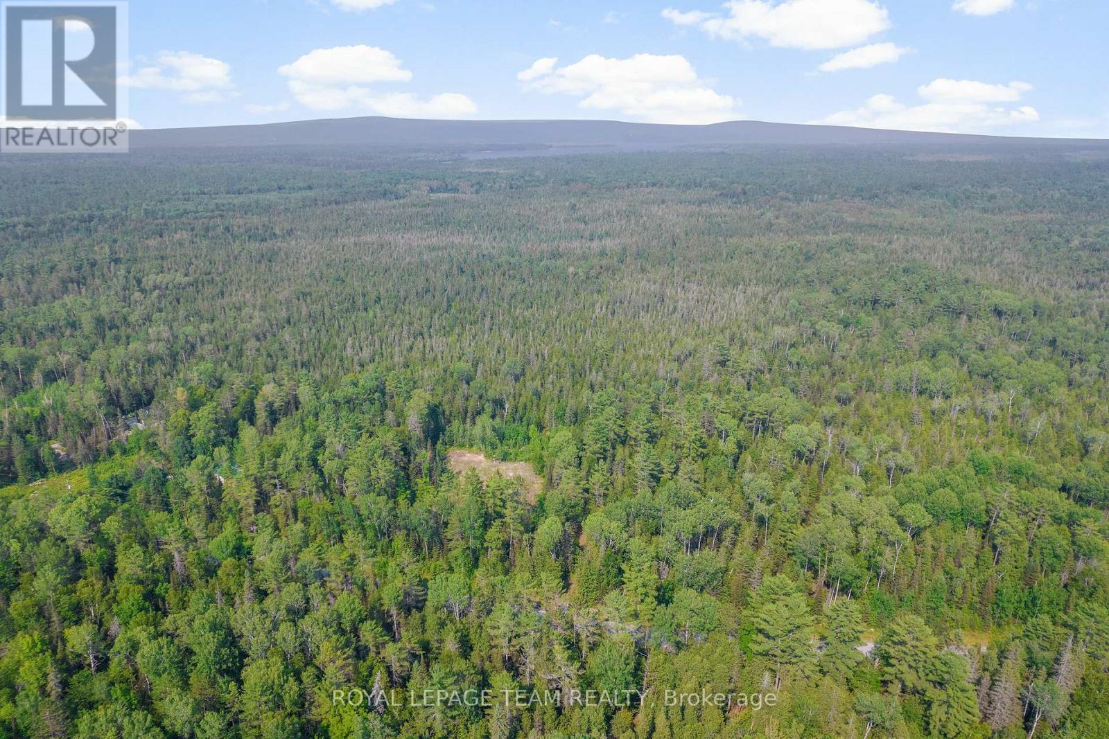 1034 Rapid Road, Whitewater Region, Ontario K0J 2L0 - Photo 24 - X12289906