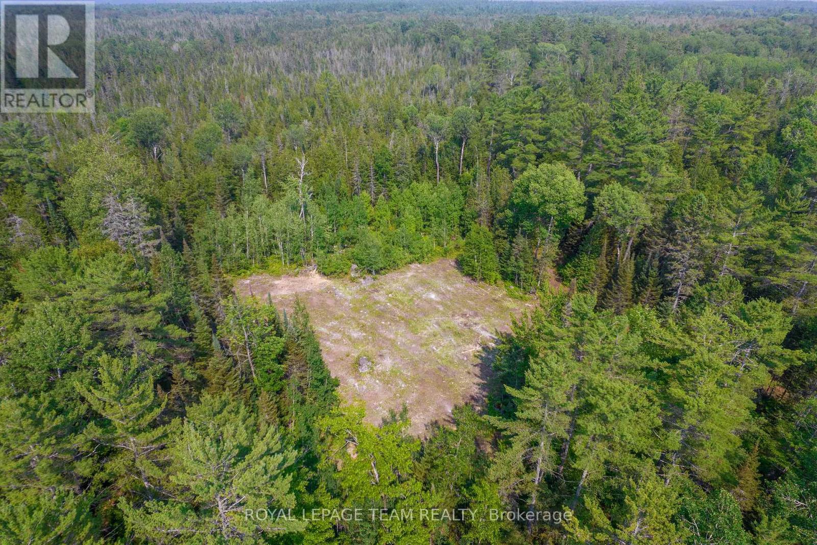 1034 Rapid Road, Whitewater Region, Ontario K0J 2L0 - Photo 25 - X12289906