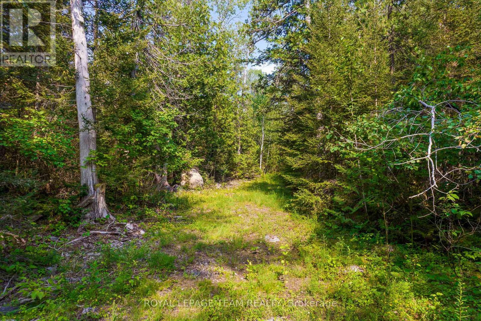 1034 Rapid Road, Whitewater Region, Ontario K0J 2L0 - Photo 27 - X12289906