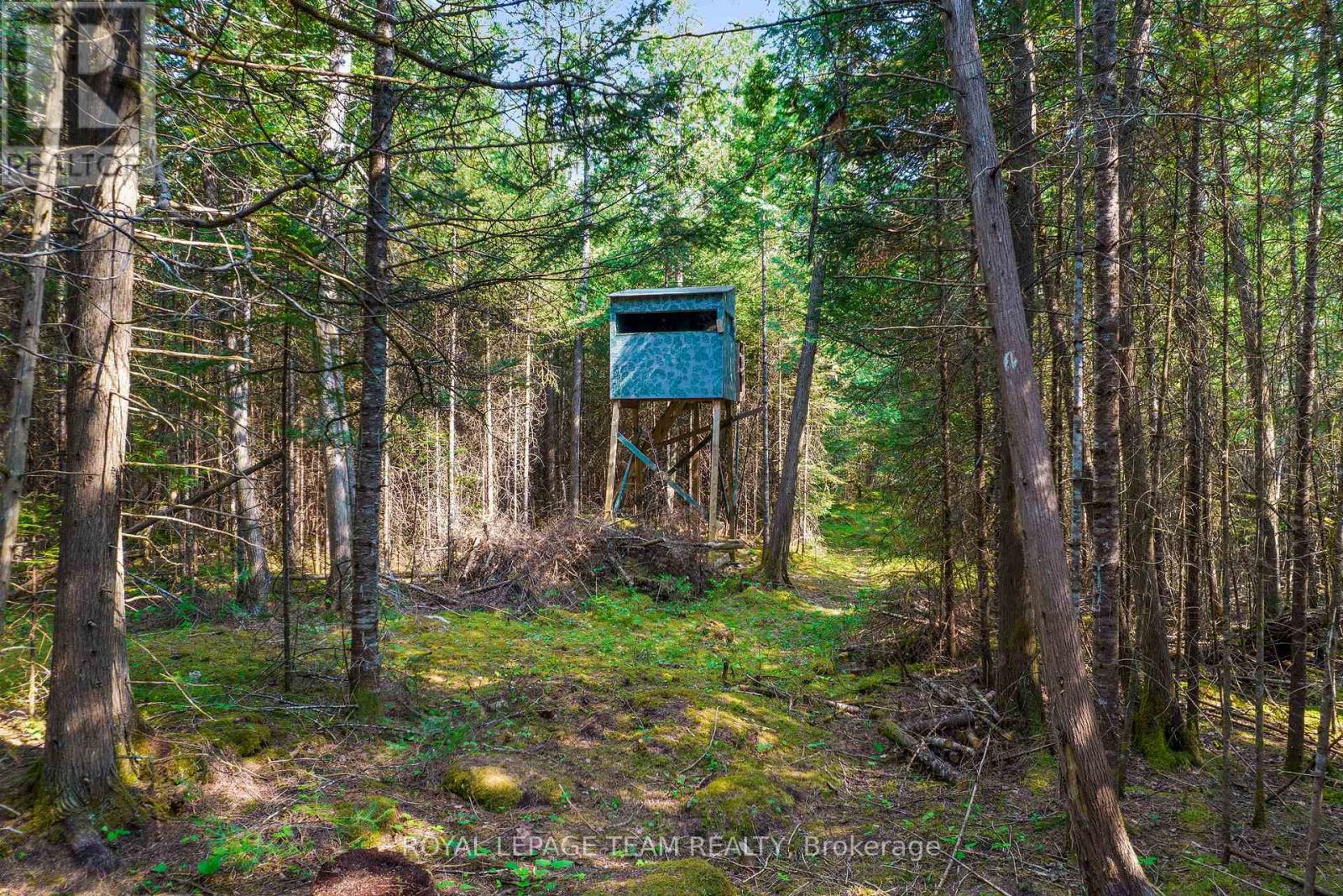 1034 Rapid Road, Whitewater Region, Ontario K0J 2L0 - Photo 28 - X12289906