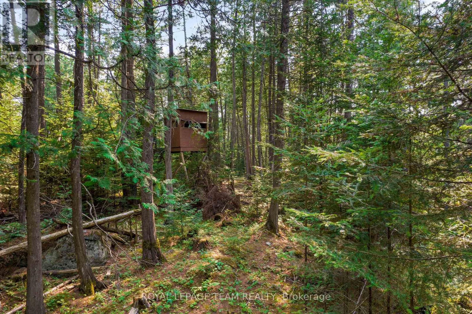 1034 Rapid Road, Whitewater Region, Ontario K0J 2L0 - Photo 29 - X12289906