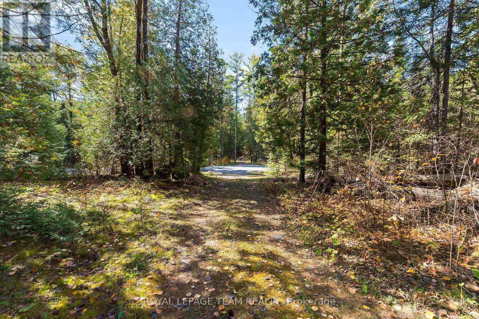 1034 Rapid Road, Whitewater Region, Ontario K0J 2L0 - Photo 3 - X12289906