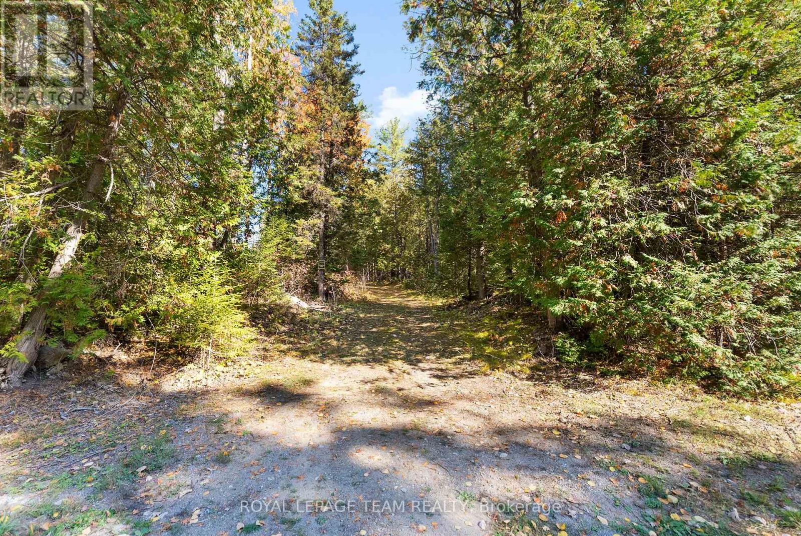 1034 Rapid Road, Whitewater Region, Ontario K0J 2L0 - Photo 4 - X12289906