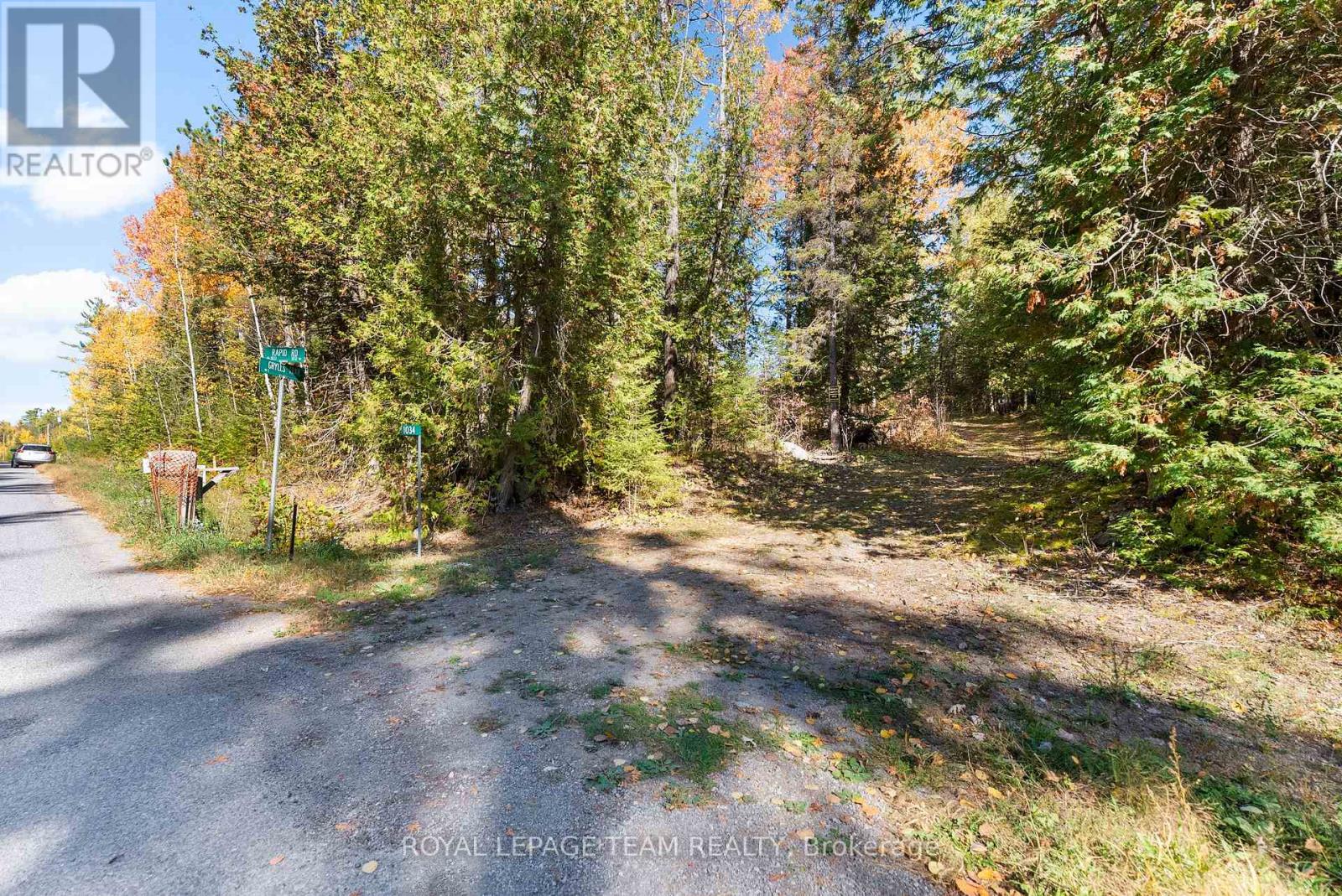 1034 Rapid Road, Whitewater Region, Ontario K0J 2L0 - Photo 5 - X12289906