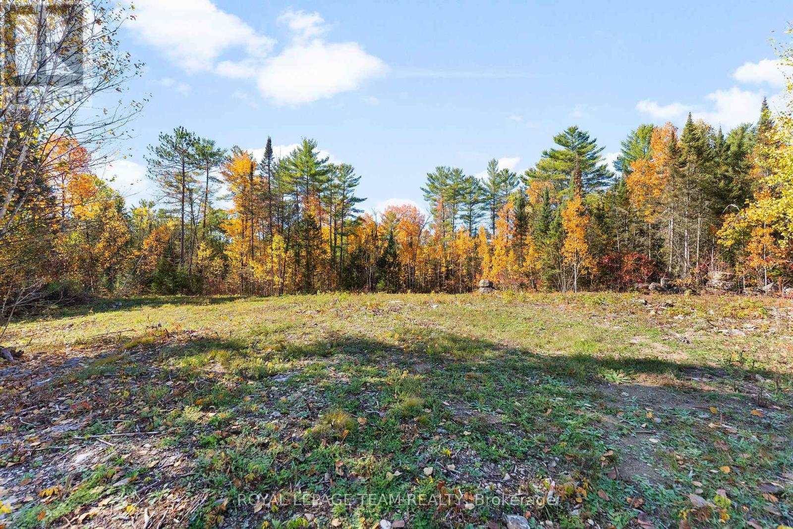 1034 Rapid Road, Whitewater Region, Ontario K0J 2L0 - Photo 6 - X12289906