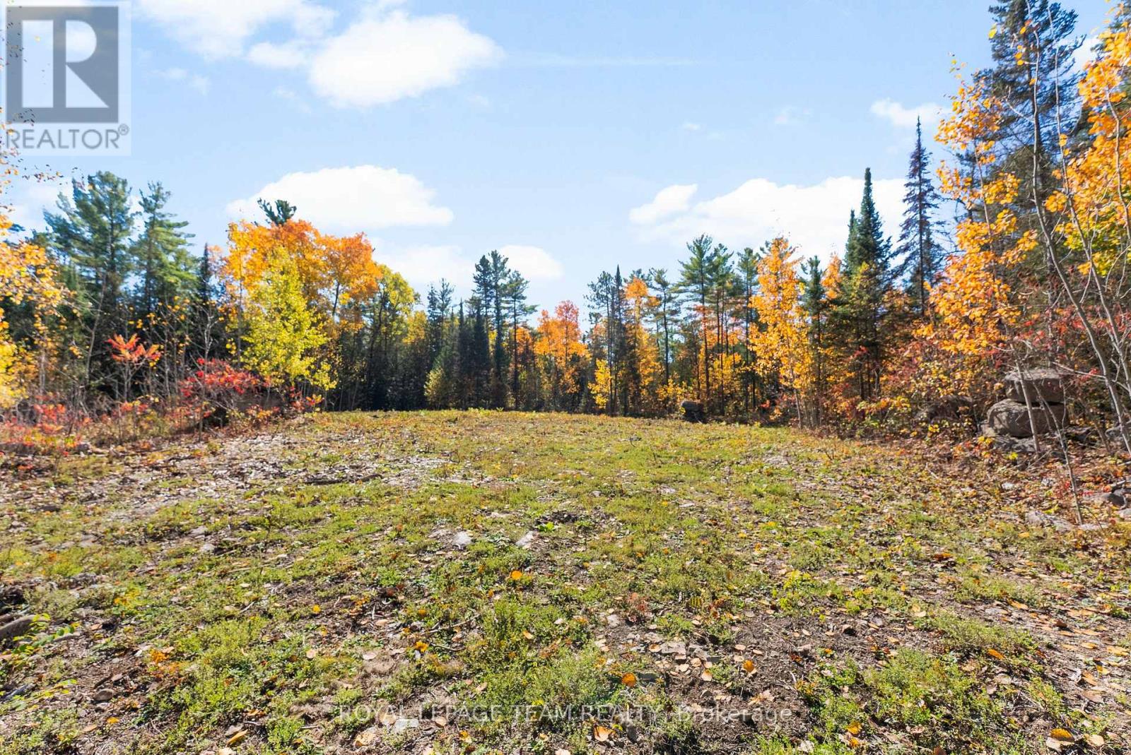 1034 Rapid Road, Whitewater Region, Ontario K0J 2L0 - Photo 7 - X12289906