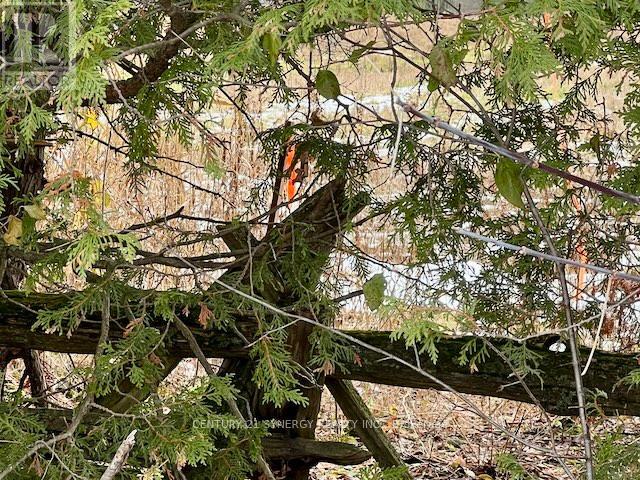 Lot #1 - 000 Armstrong Road, Drummond/north Elmsley, Ontario K7A 4S4 - Photo 5 - X12545610