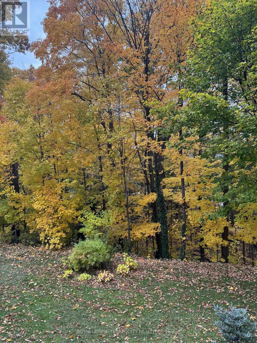 Main - 59 Leggett Avenue, Toronto, Ontario  M9P 1X3 - Photo 14 - W12545408