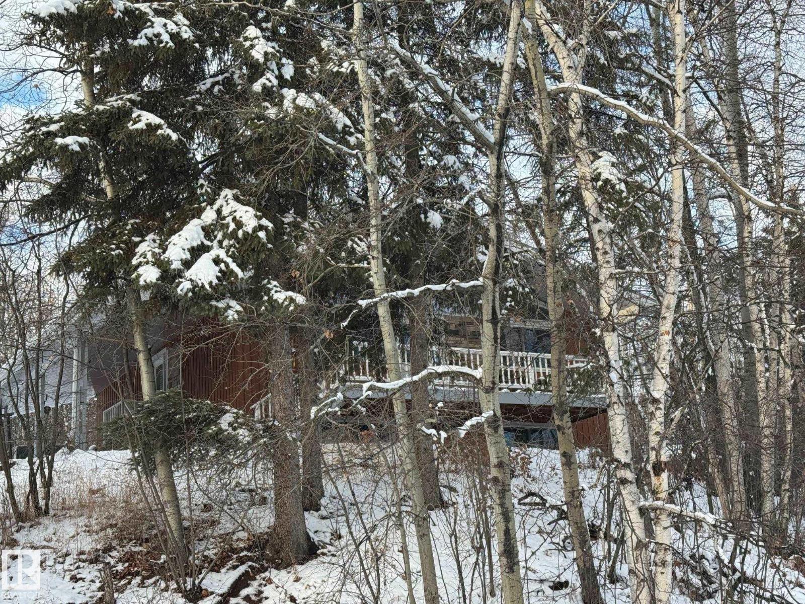 4707 53 St, Athabasca Town, Alberta  T9S 1K6 - Photo 26 - E4465739