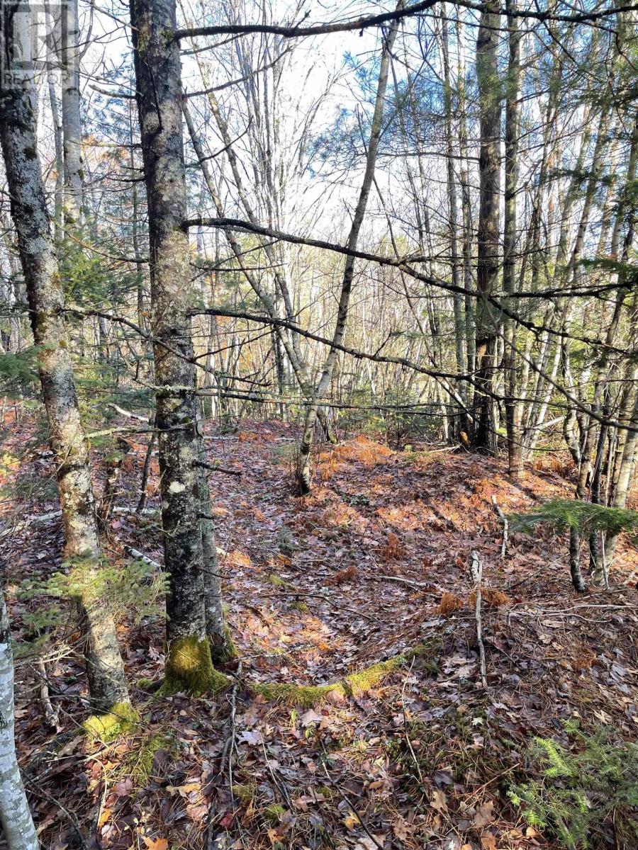 Lot 4 Cornwall Road, Mahone Bay, Nova Scotia  B0J 2E0 - Photo 8 - 202527725