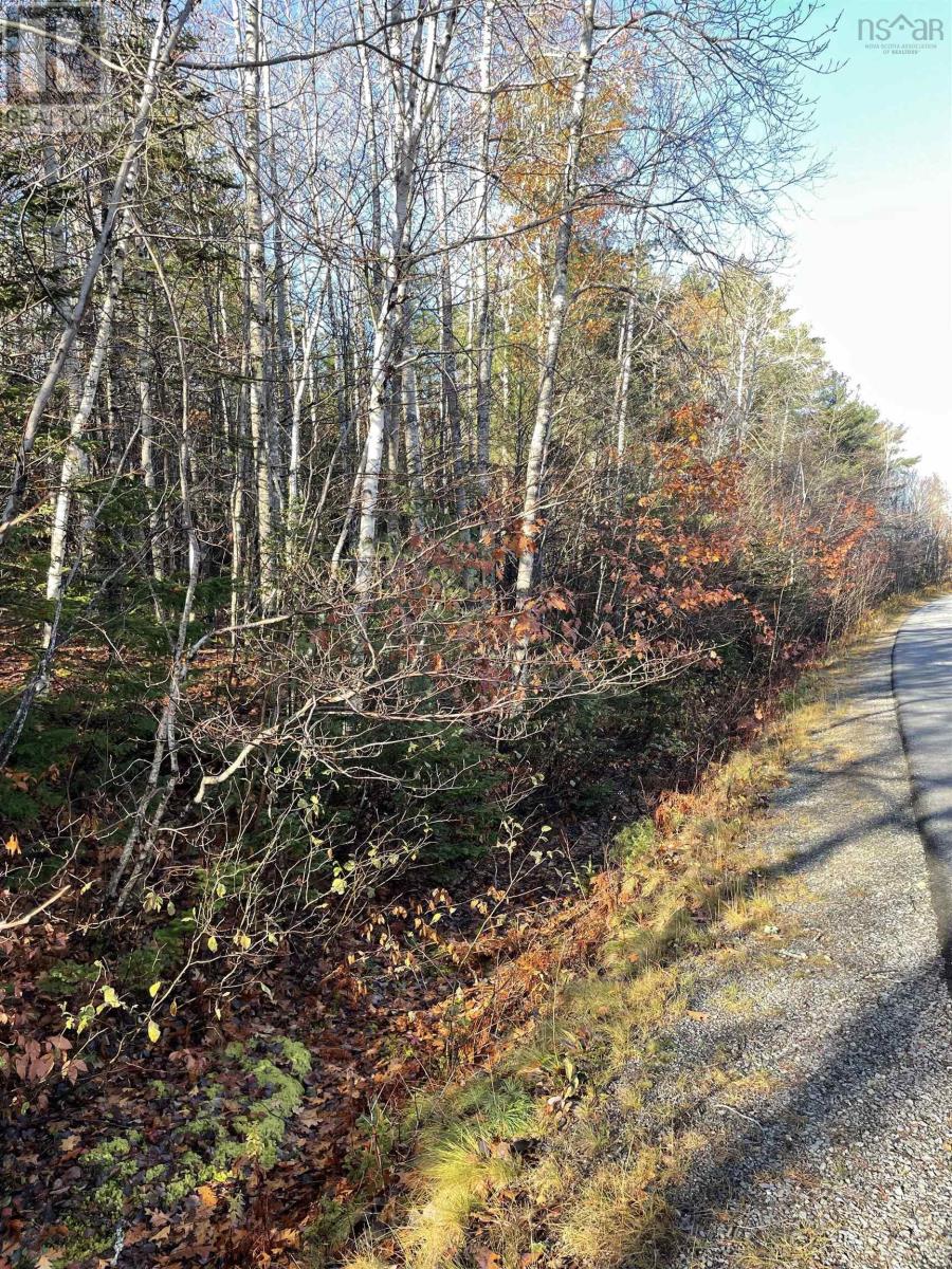 Lot 4 Cornwall Road, Mahone Bay, Nova Scotia  B0J 2E0 - Photo 9 - 202527725