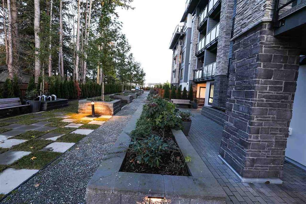 515 15351 101 Avenue, Surrey, British Columbia  V3R 0G2 - Photo 10 - R3067053