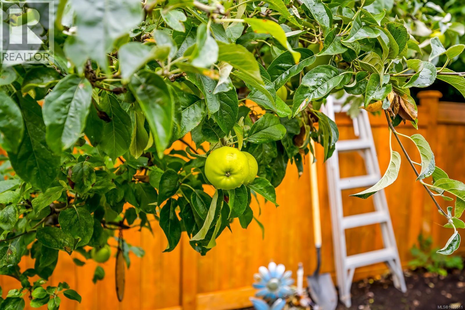 589 Monarch Dr, Courtenay, British Columbia  V9N 8R7 - Photo 42 - 1020511