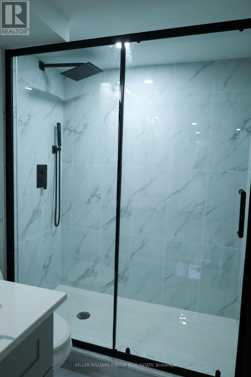 Basement - 704 Oshawa Boulevard N, Oshawa, Ontario  L1G 5V3 - Photo 13 - E12546076