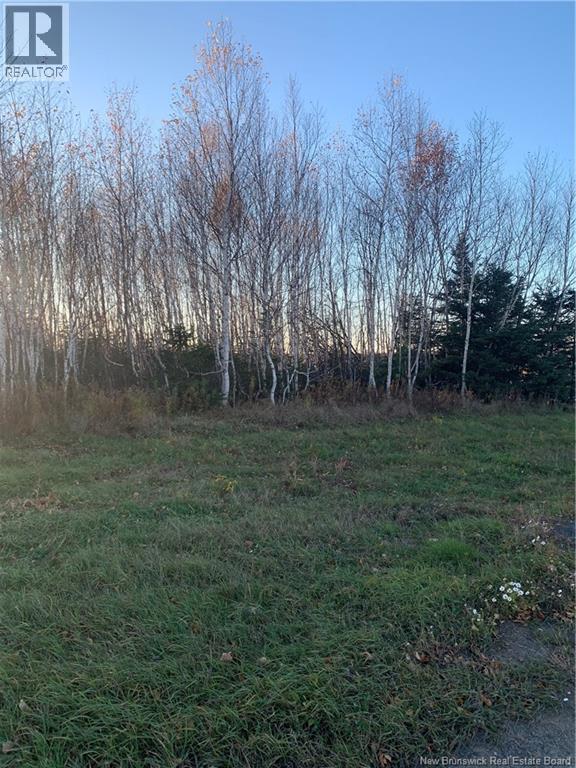 Terrain 0,28 Acres Route 135, Duguayville, New Brunswick  E8M 1K2 - Photo 2 - NB130097