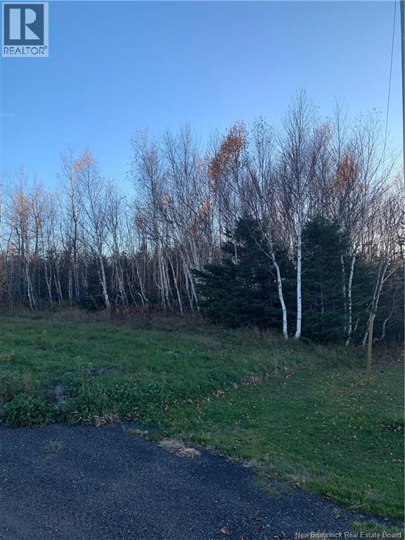 Terrain 0,28 Acres Route 135, Duguayville, New Brunswick  E8M 1K2 - Photo 5 - NB130097