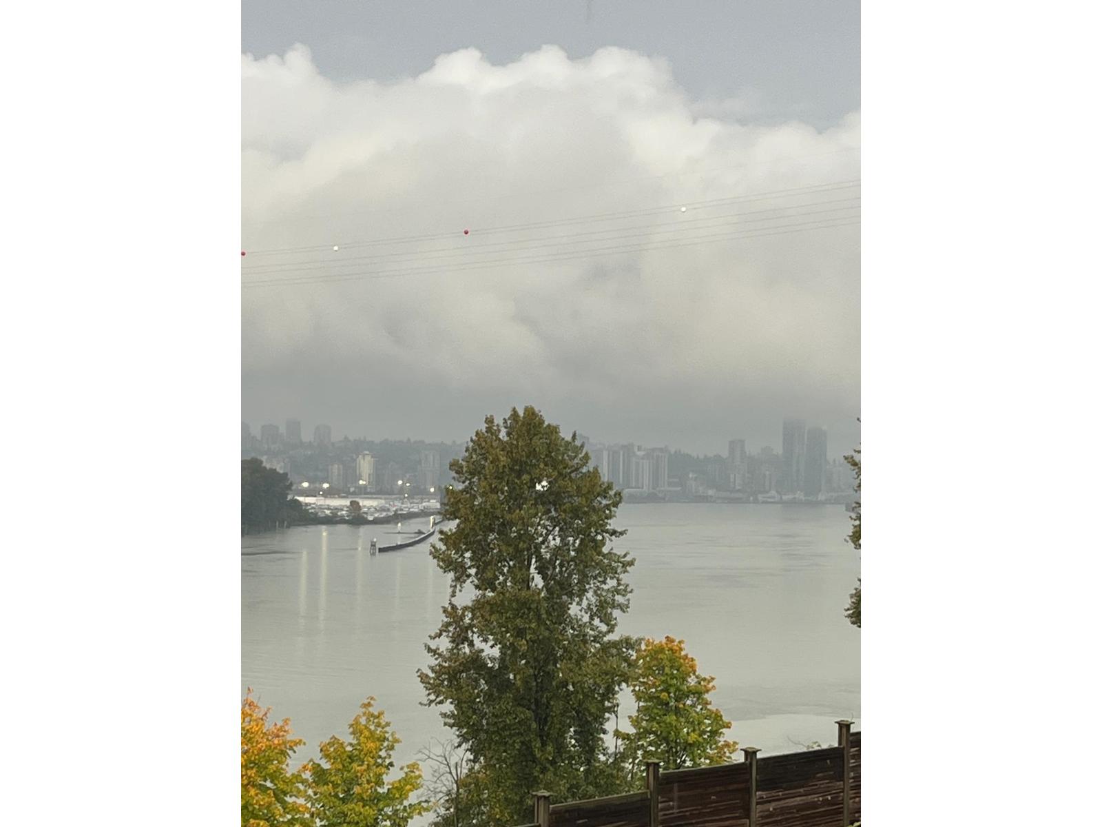 10581 River Road, Delta, British Columbia  V4C 2R1 - Photo 8 - R3057494