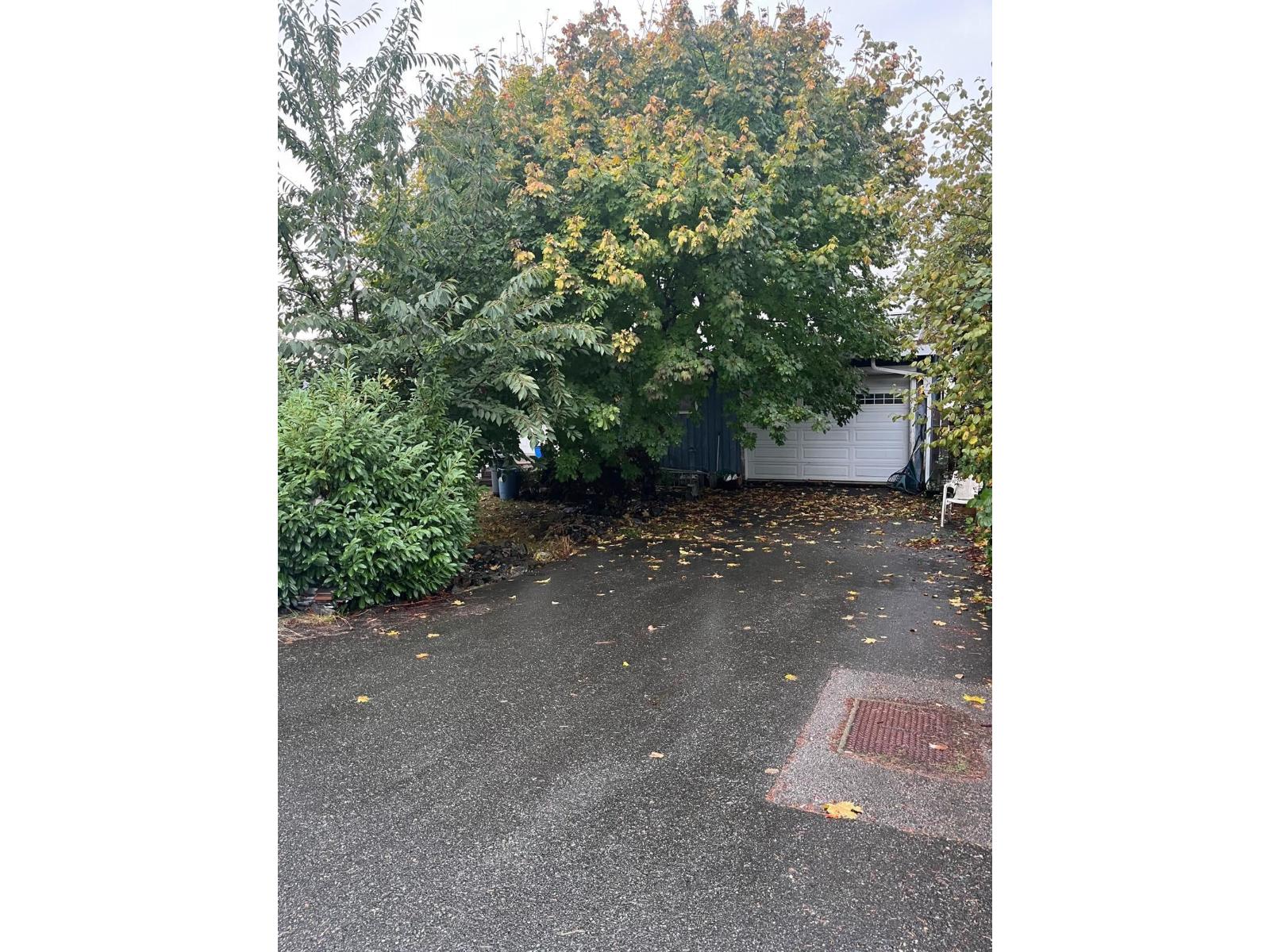 10581 River Road, Delta, British Columbia  V4C 2R1 - Photo 14 - R3057494