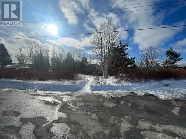 3 Russells Lane, Bay Roberts, Newfoundland & Labrador  A0A 1G0 - Photo 3 - 1292621