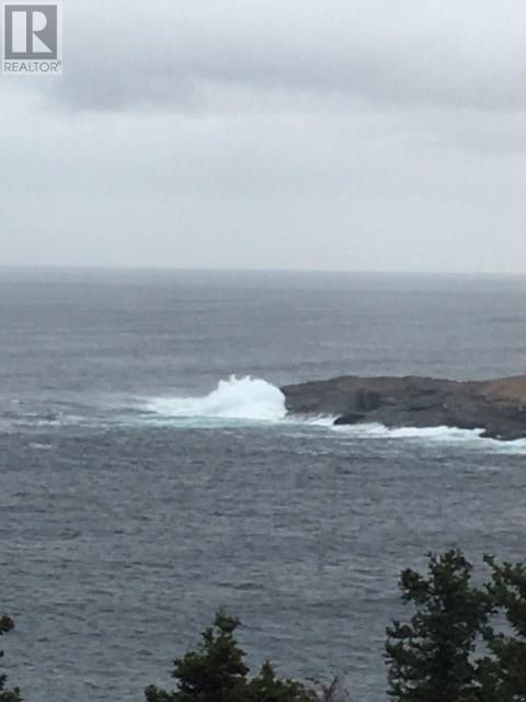 1 Wildberry Ridge, Flatrock, Newfoundland & Labrador  A1K 0M6 - Photo 4 - 1292619