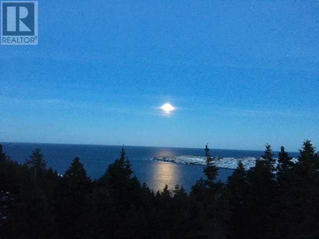 1 Wildberry Ridge, Flatrock, Newfoundland & Labrador  A1K 0M6 - Photo 5 - 1292619