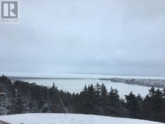 1 Wildberry Ridge, Flatrock, Newfoundland & Labrador  A1K 0M6 - Photo 9 - 1292619