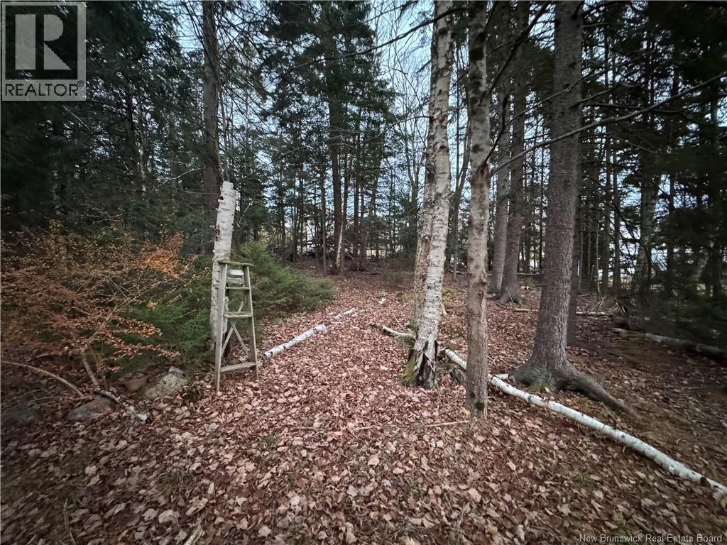 6 Wynn Street, Rothesay, New Brunswick  E2E 2B4 - Photo 17 - NB130148