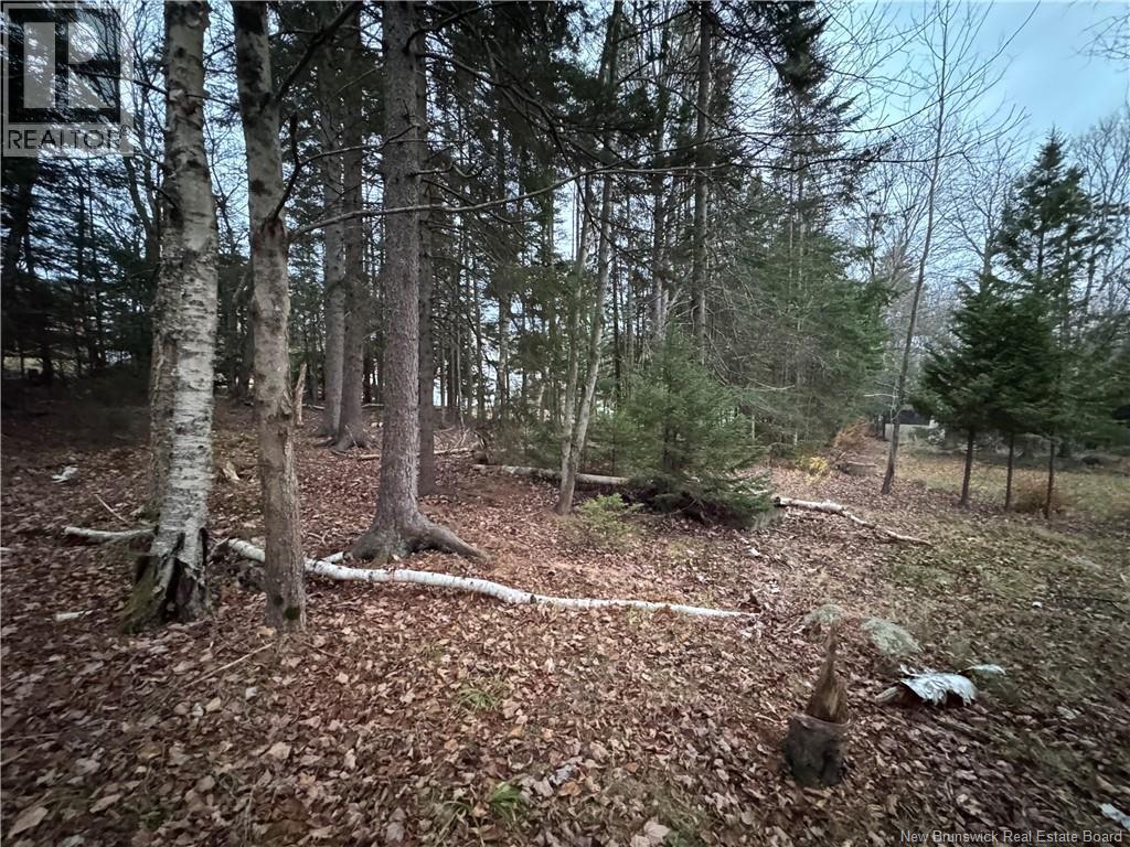 6 Wynn Street, Rothesay, New Brunswick  E2E 2B4 - Photo 18 - NB130148