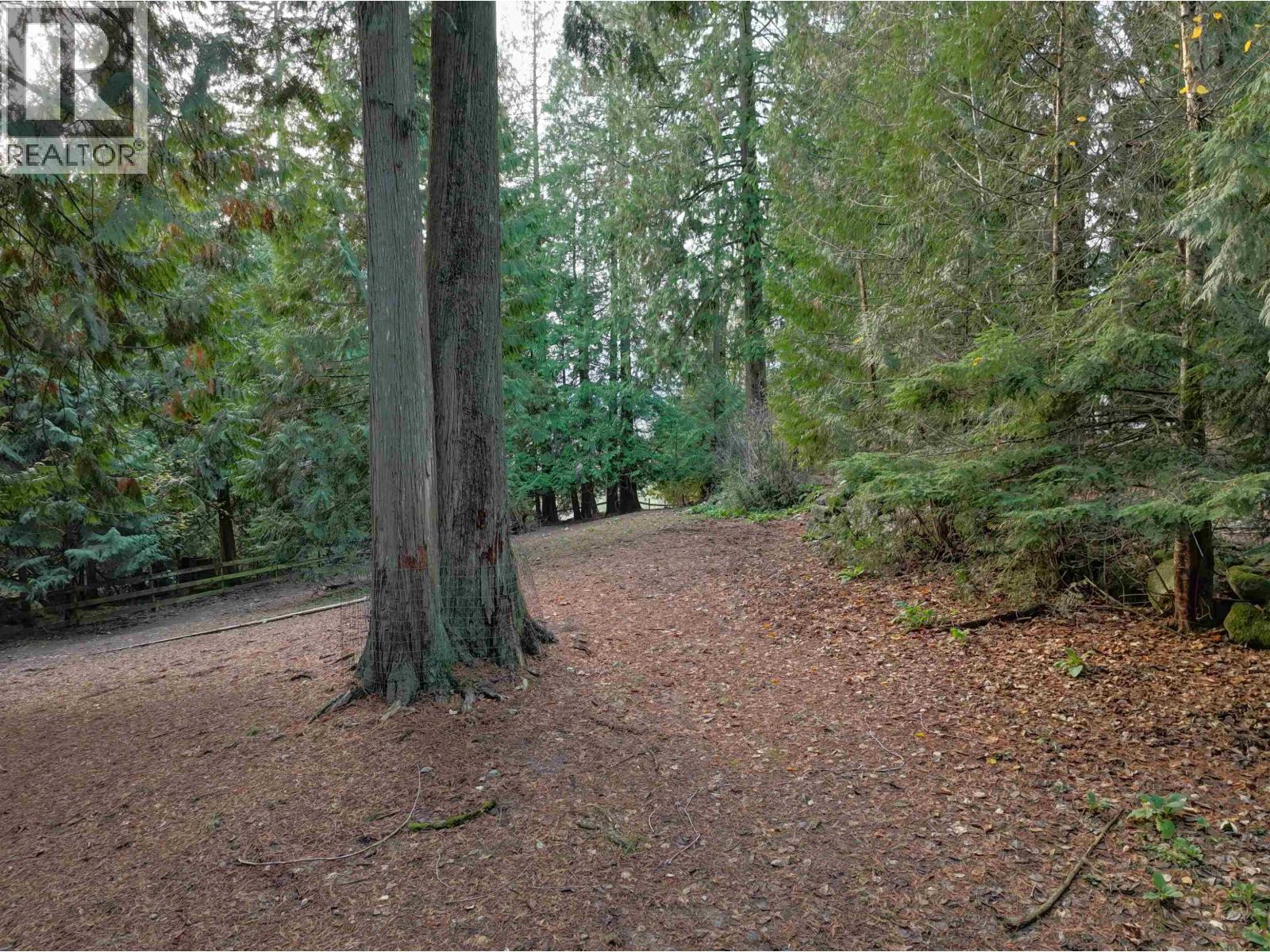 14042 232 Street, Maple Ridge, British Columbia  V4R 2G5 - Photo 10 - R3067499