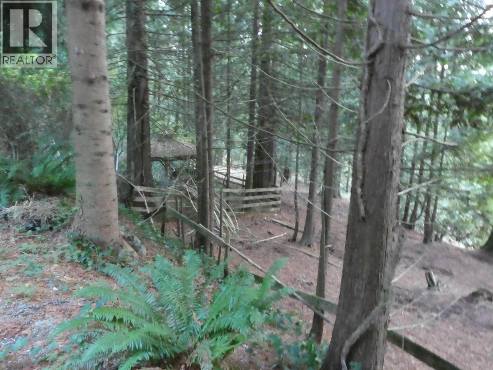 14042 232 Street, Maple Ridge, British Columbia  V4R 2G5 - Photo 15 - R3067499